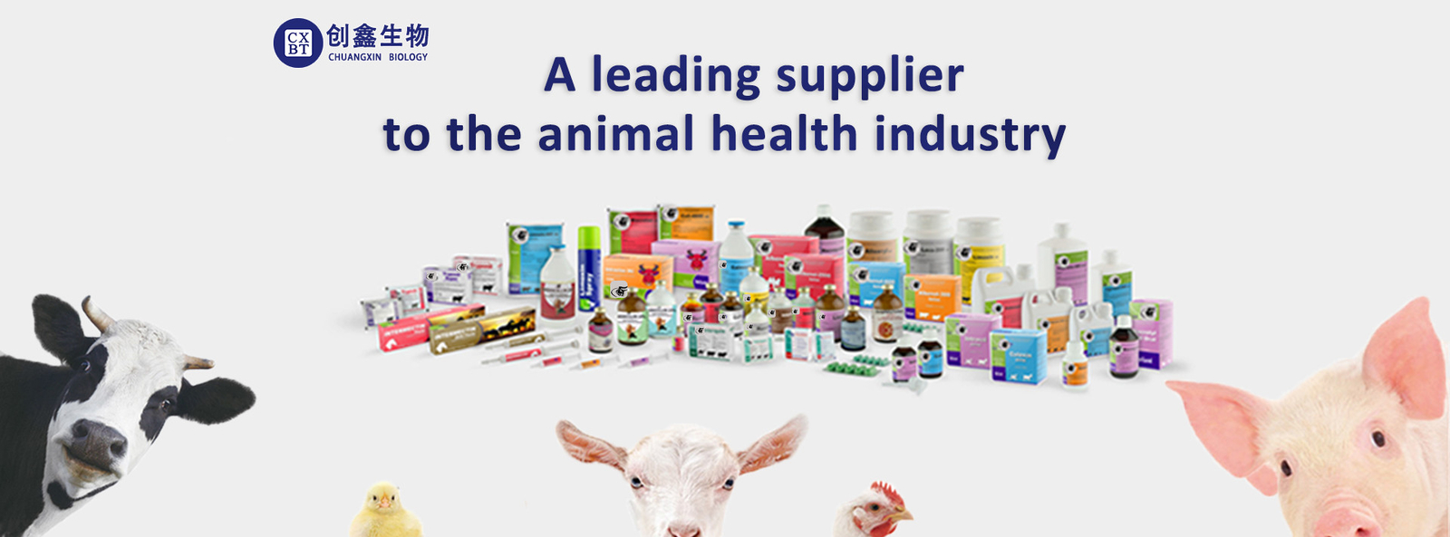 गुणवत्ता पशु चिकित्सा इंजेक्शन योग्य दवाएं फैक्टरी