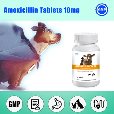 पशु चिकित्सा बोलस टैबलेट पशु चिकित्सा एमोक्सिसिलिन टैबलेट कुत्ते के लिए 10 मिलीग्राम एंटीवायरल