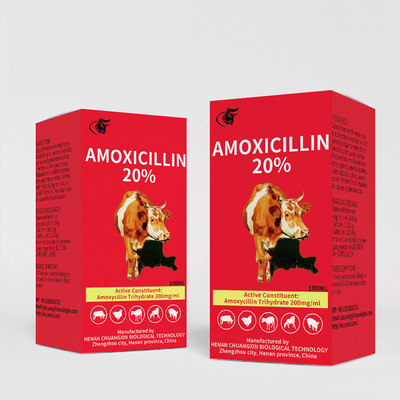 चीनी निर्माताओं से पशु चिकित्सा इंजेक्शन दवाएँ एमोक्सिसिलिन 20% इंजेक्शन की आपूर्ति